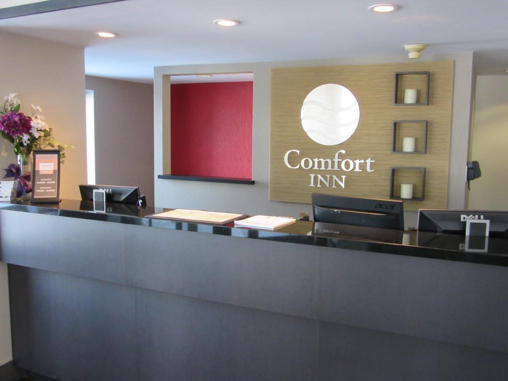 Comfort Inn Cobourg Exteriör bild